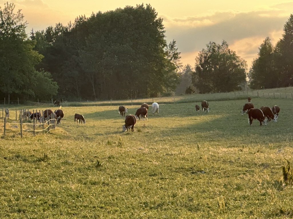 Besättningen vid solnedgång